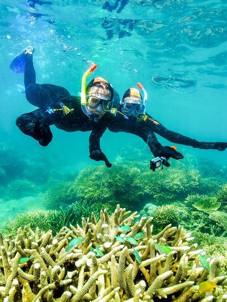 Snorkelers exploring coral reefs at Fitzroy Island.