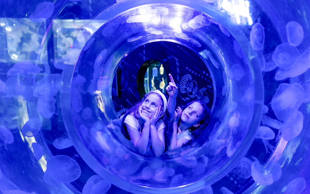 Children exploring jellyfish tunnel at SEA LIFE Melbourne's Ocean Invaders exhibit.