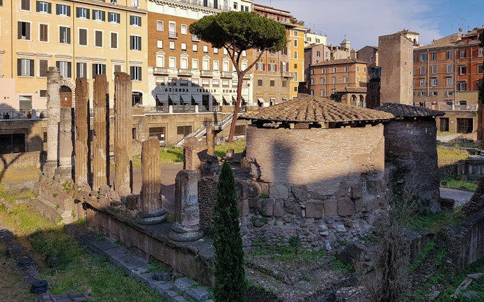 Largo di Torre Argentina ruins with ancient columns and round temple in Rome.