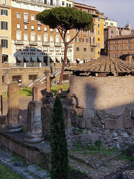 Largo di Torre Argentina ruins with ancient columns and round temple in Rome.