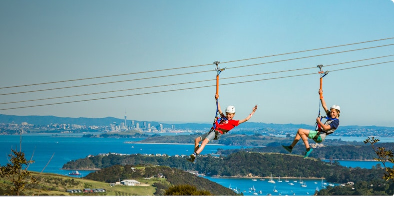 Discover the best things to do in Waiheke Island