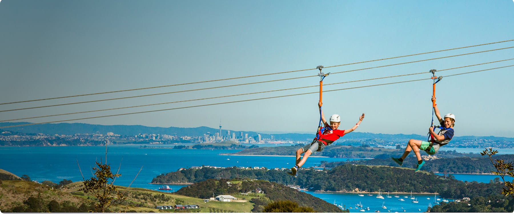 Ziplining over Waiheke Island with Auckland skyline in the background.