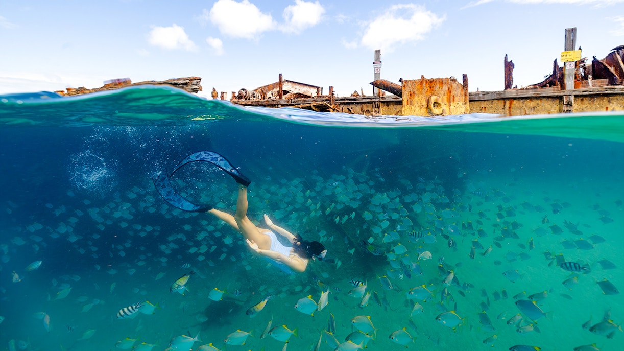 Woman snorkeling among fish at Tangalooma Wrecks, Moreton Island, Australia.
