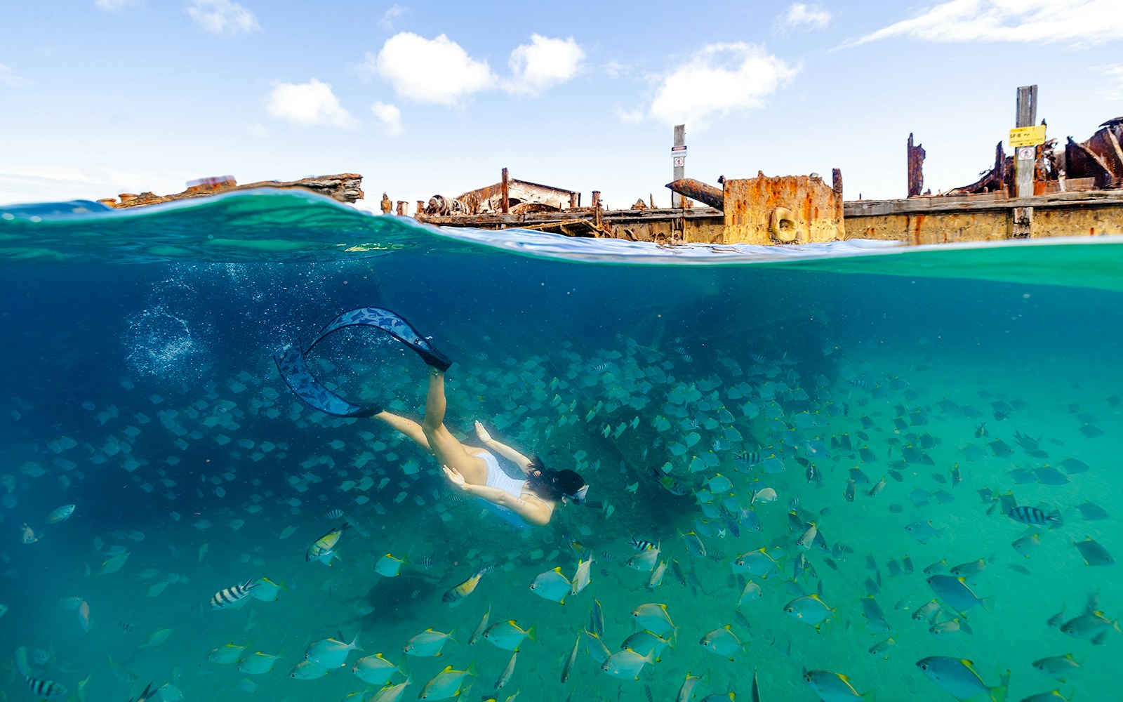 Woman snorkeling among fish at Tangalooma Wrecks, Moreton Island, Australia.