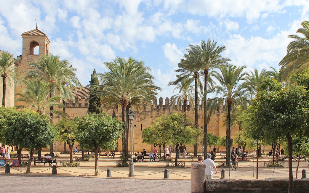 Córdoba Cathedral-Mosque courtyard with palm trees and visitors exploring.