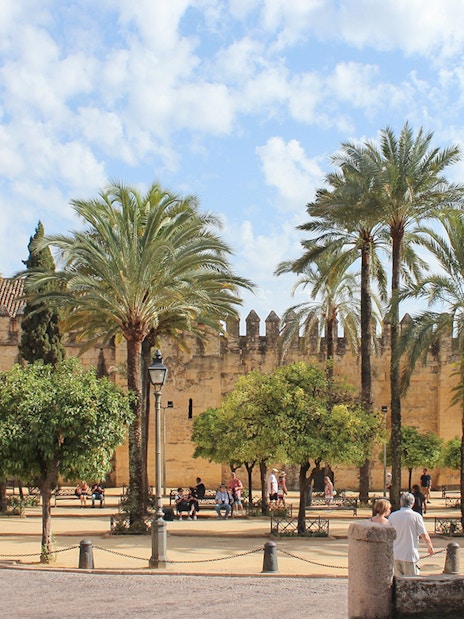 Córdoba Cathedral-Mosque courtyard with palm trees and visitors exploring.