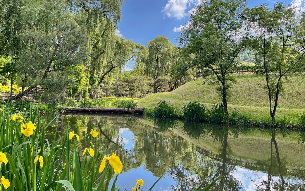 Idyllic canal with yellow flowers and trees in Nami Island, South Korea.