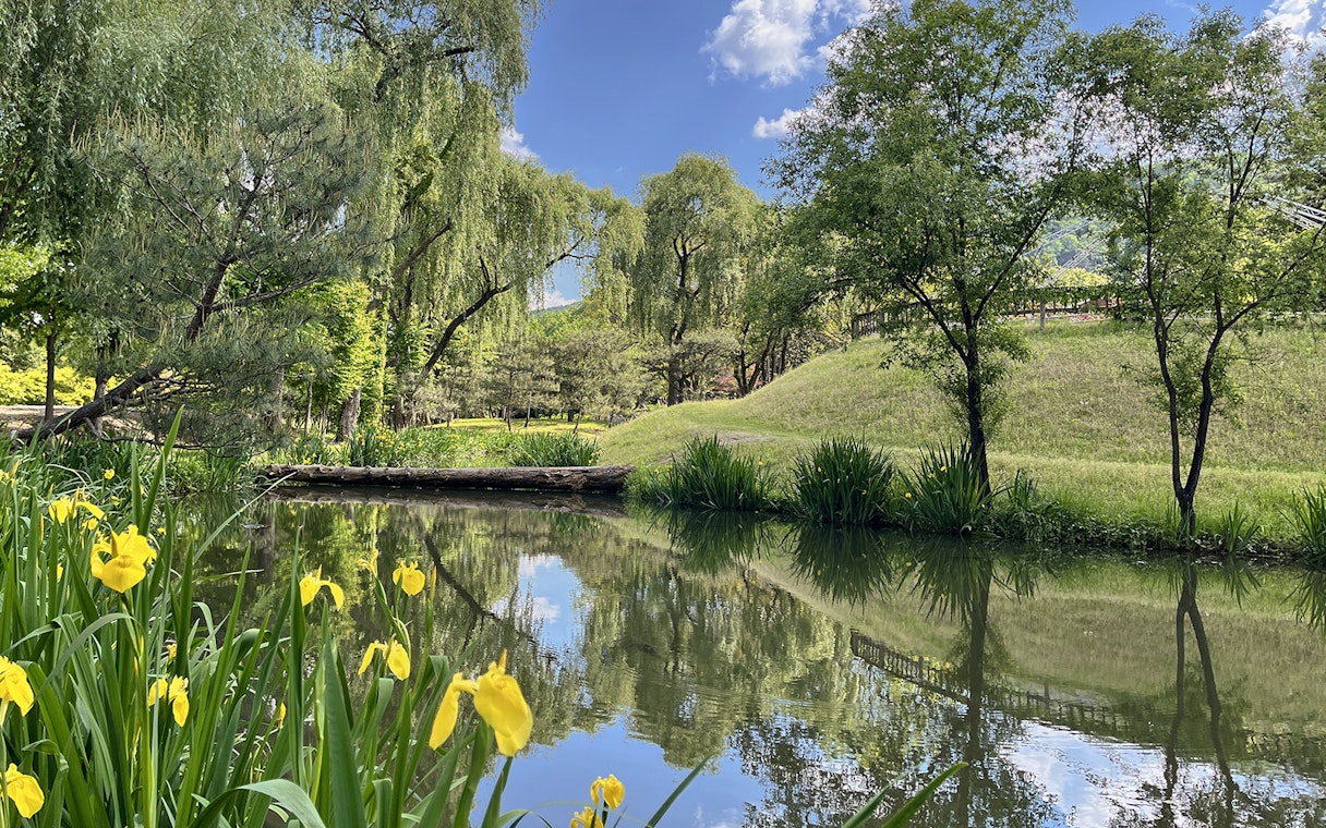 Idyllic canal with yellow flowers and trees in Nami Island, South Korea.