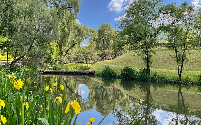 Idyllic canal with yellow flowers and trees in Nami Island, South Korea.