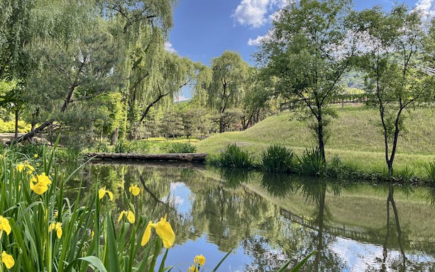 Idyllic canal with yellow flowers and trees in Nami Island, South Korea.