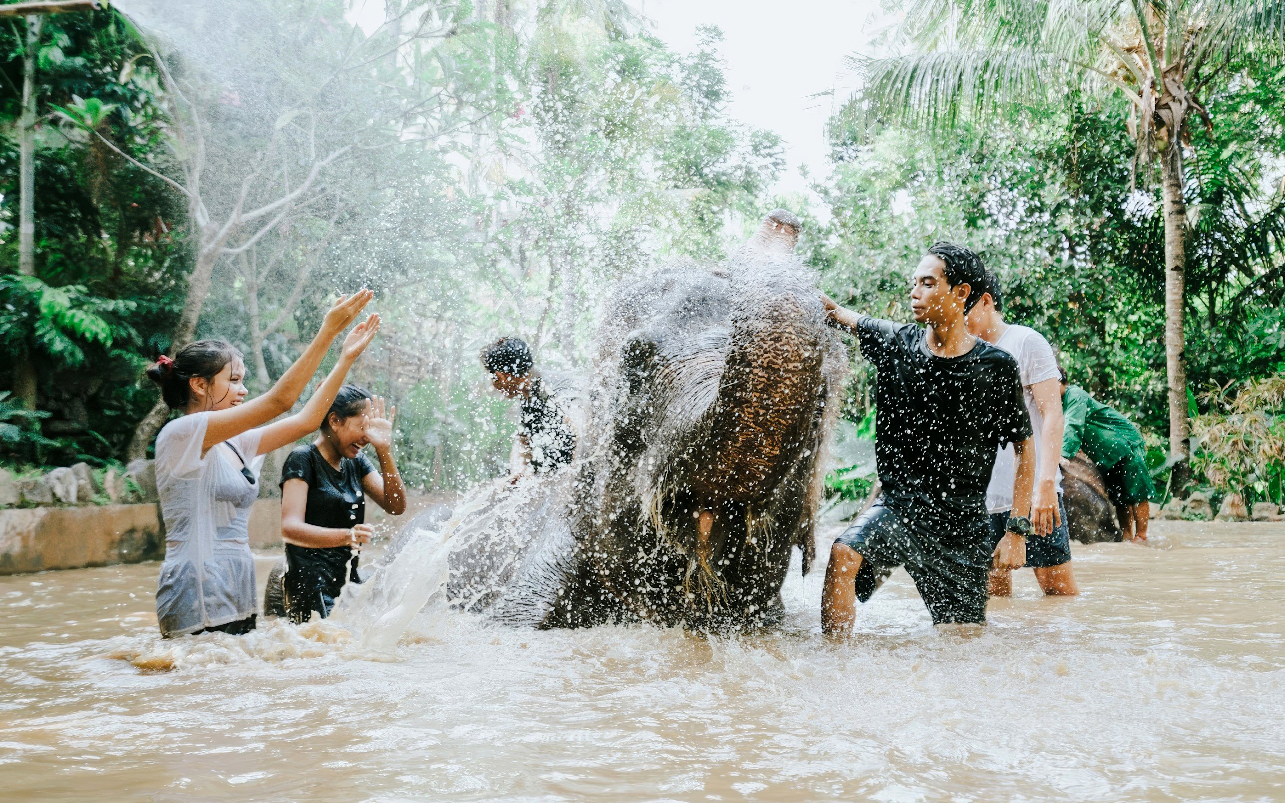 Visitors bathing an elephant at Lombok Wildlife Park.