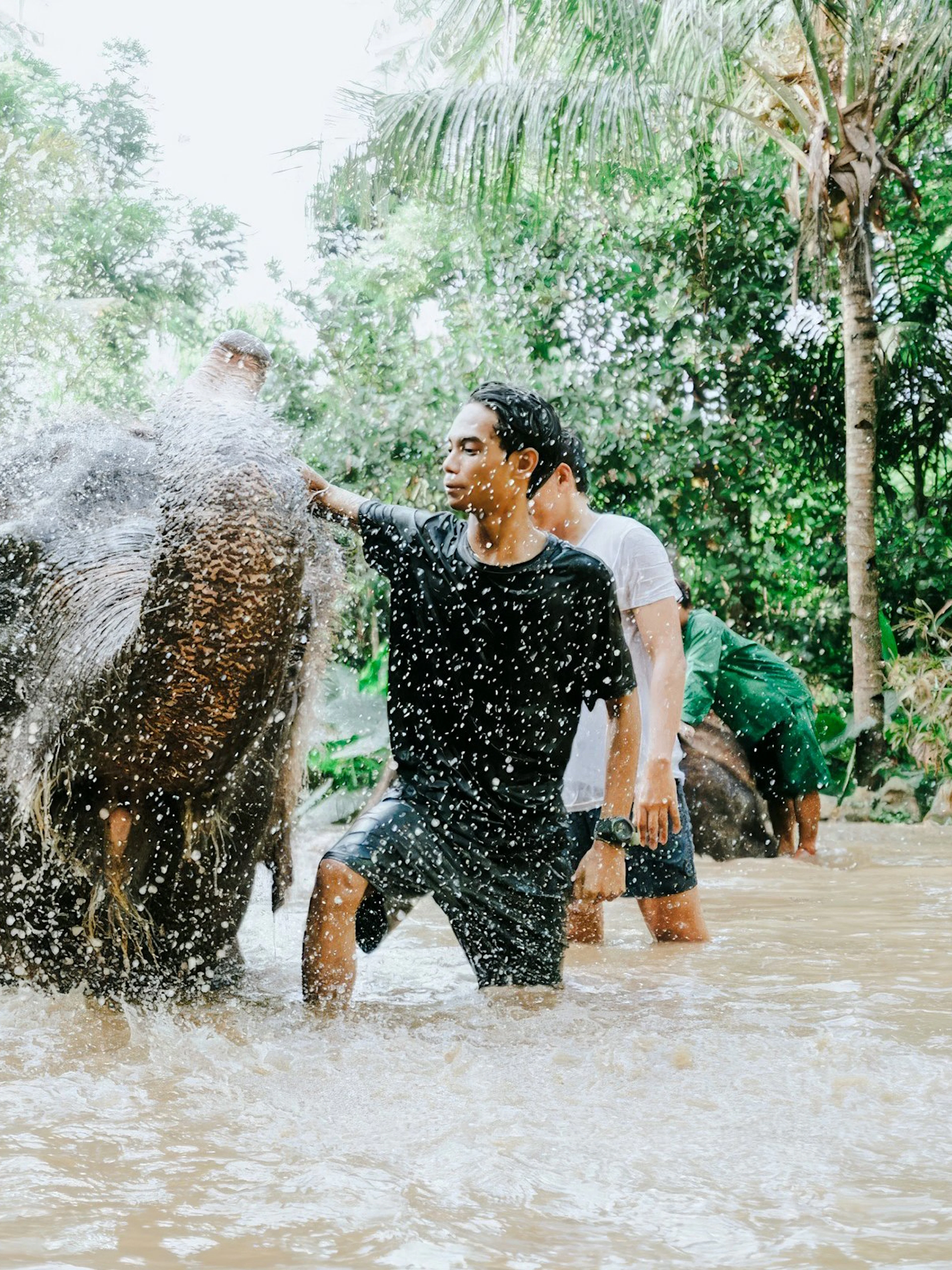 Visitors bathing an elephant at Lombok Wildlife Park.