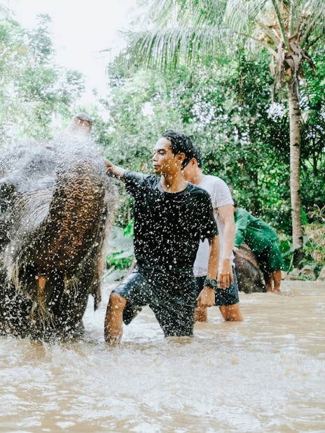Visitors bathing an elephant at Lombok Wildlife Park.