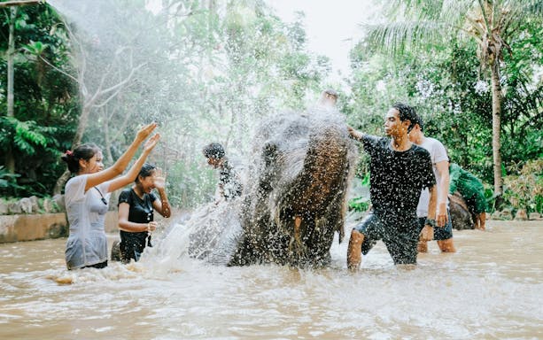 Visitors bathing an elephant at Lombok Wildlife Park.
