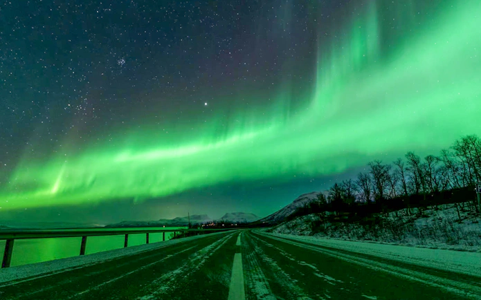 Northern lights over a snowy road in Abisko, Sweden, during a night tour.
