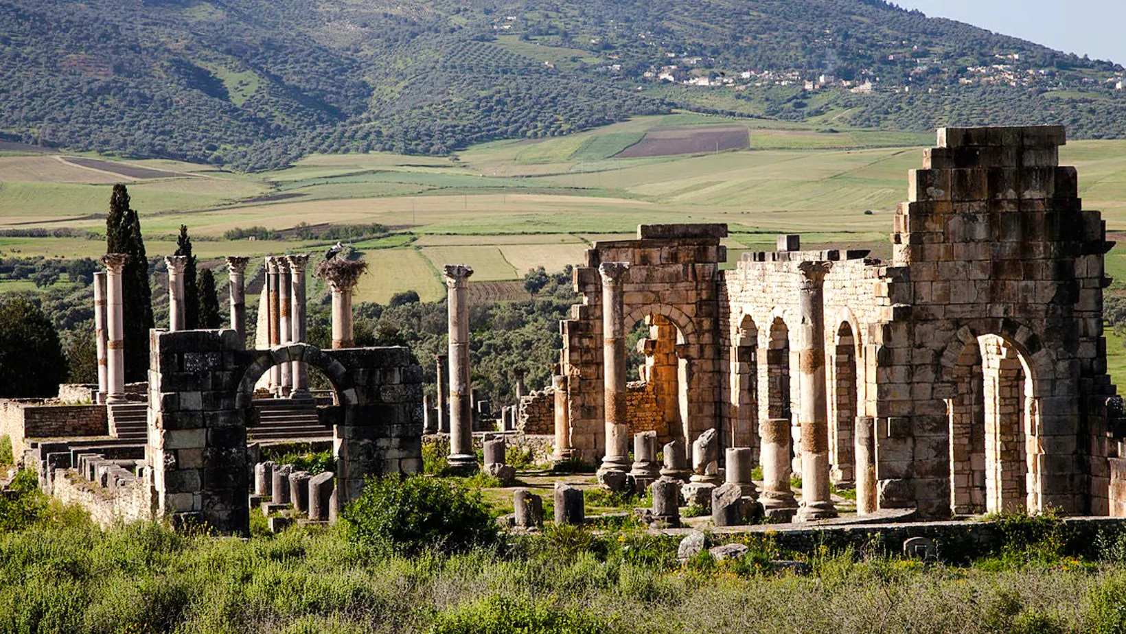 Ancient Roman ruins of Volubilis with green hills in the background, near Fes, Morocco.