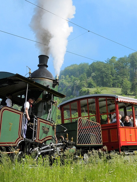 Vintage steam train ascending Mount Rigi with passengers enjoying scenic views.