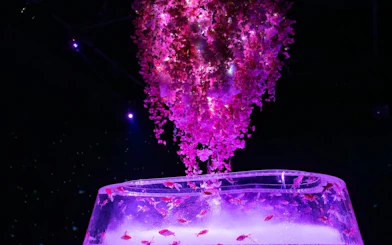 Illuminated aquarium with pink cherry blossoms at Art Aquarium Museum GINZA.