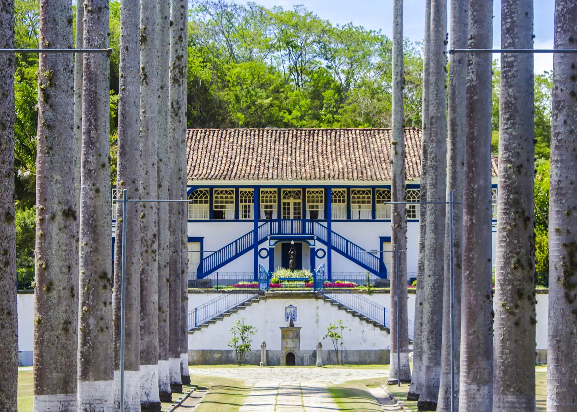 Historic plantation house surrounded by tall trees in Coffee Valley, Rio de Janeiro.