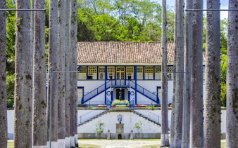 Historic plantation house surrounded by tall trees in Coffee Valley, Rio de Janeiro.