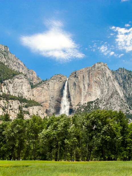 Yosemite Falls viewed from Yosemite Valley Meadows, California.