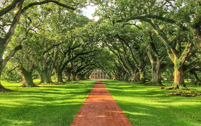Oak Alley Plantation path lined with oak trees, part of Swamp Tour & Oak Alley Plantation Tour.