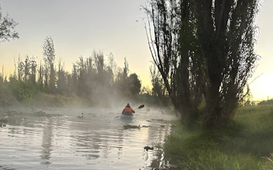 Kayaking at sunrise through misty canals in Xochimilco.