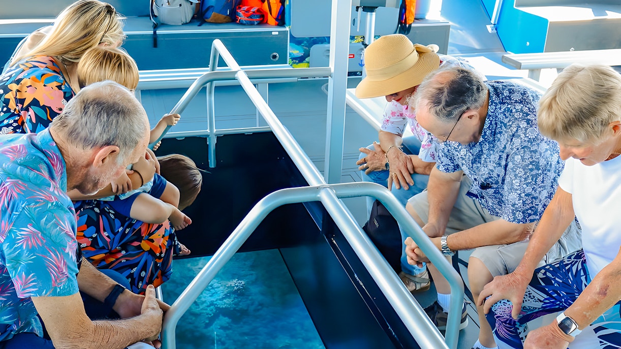 People observing marine life through glass floor on Airlie Beach Glass Bottom Boat tour.