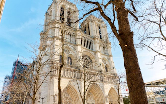 Notre Dame Cathedral facade with trees during Paris city tour.