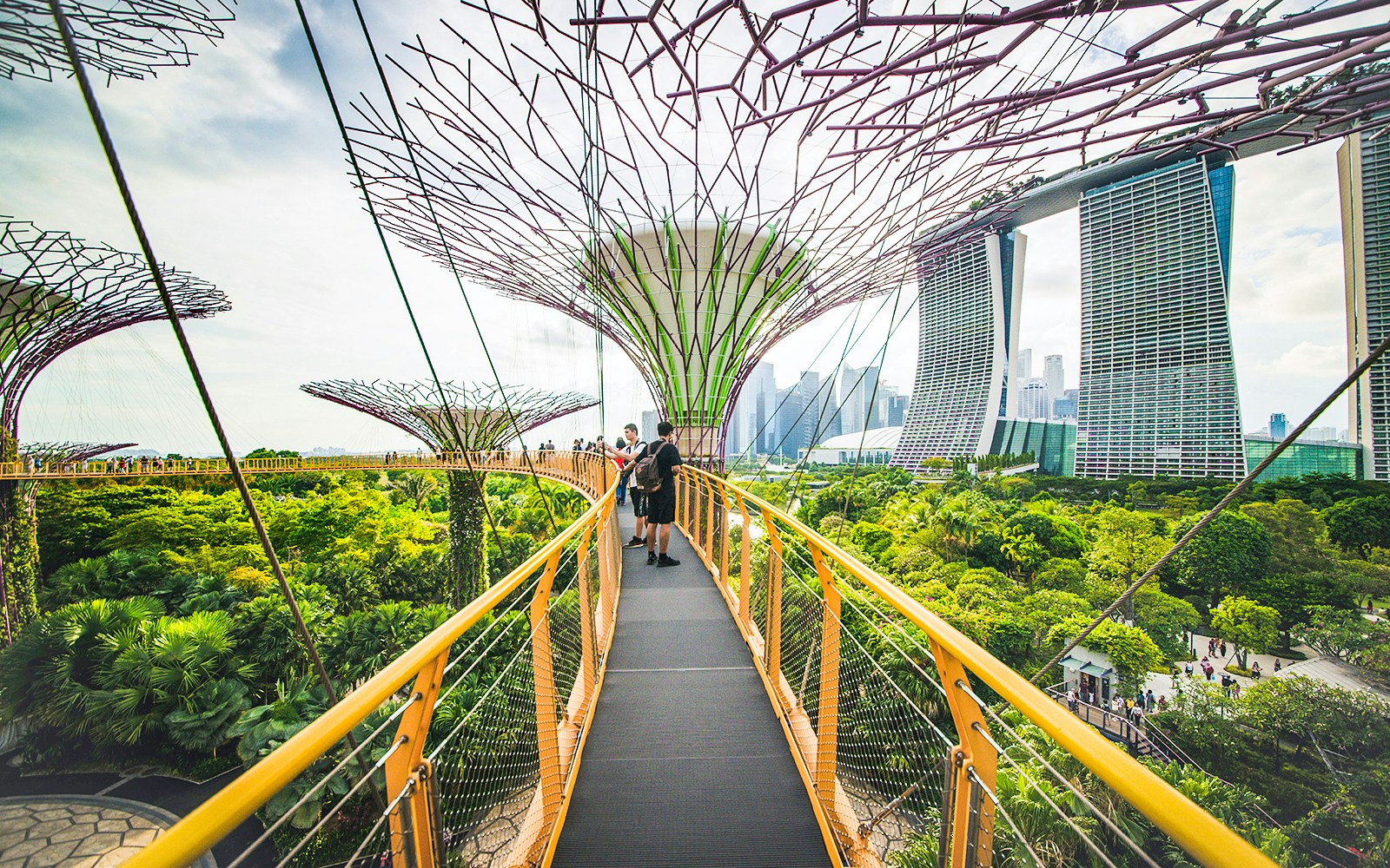 Visitors walking on the OCBC Skywalk at Gardens by the Bay, Singapore, with Supertree Grove in view.