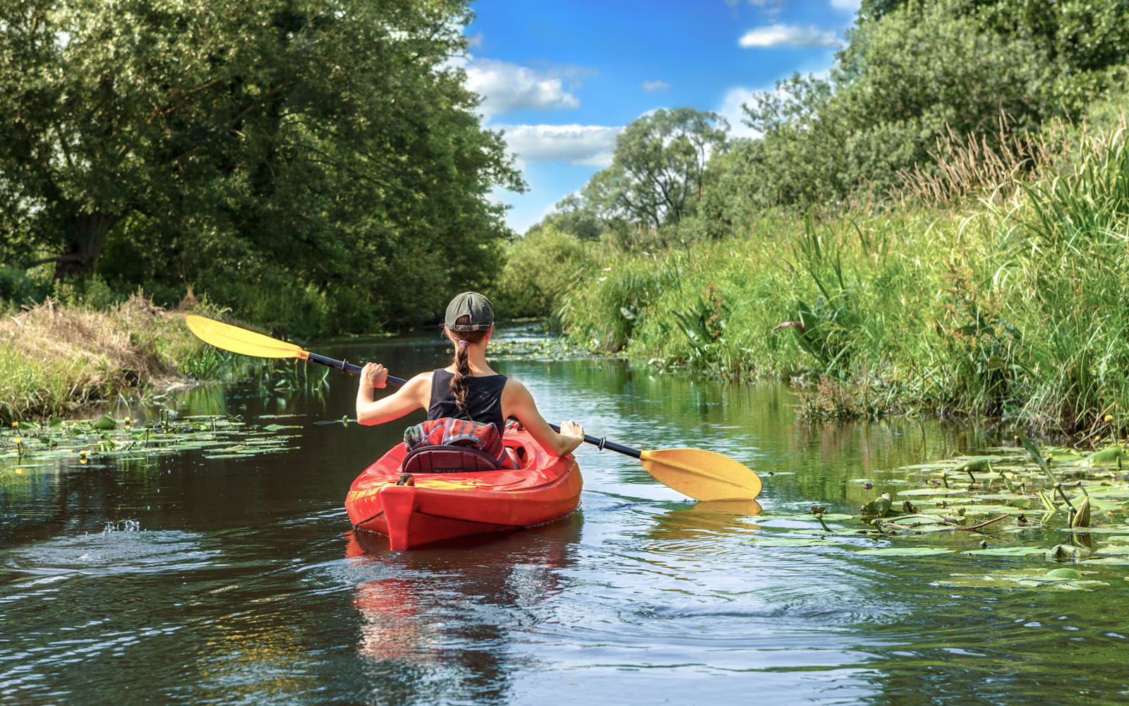 Things to do in Gold Coast