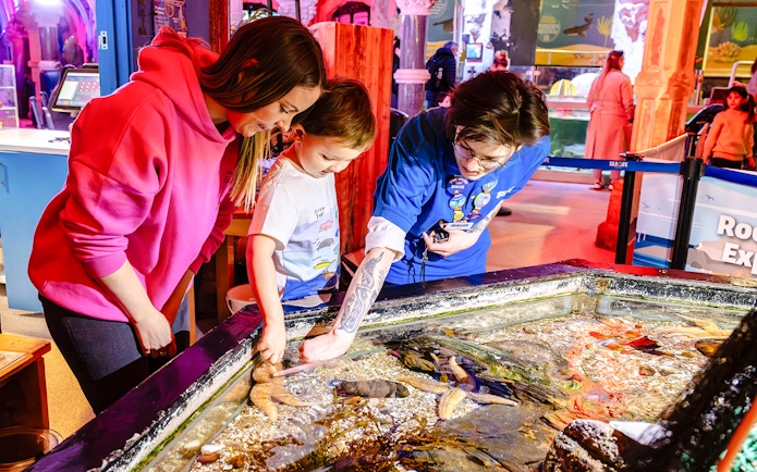 Guests exploring touch pool at SEA Life Brighton.