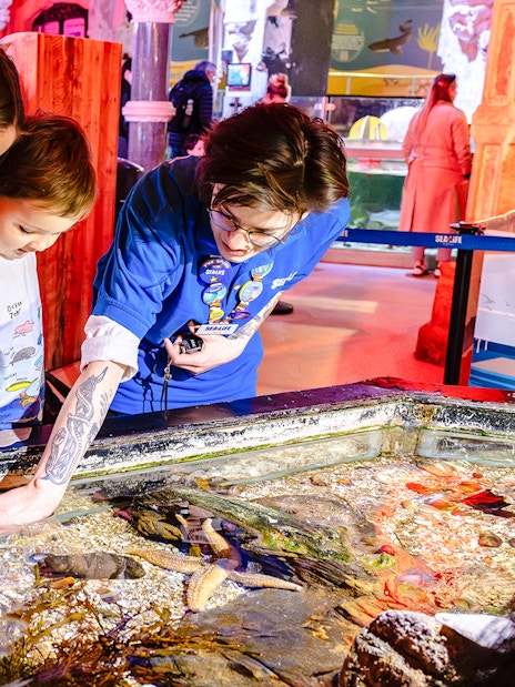 Guests exploring touch pool at SEA Life Brighton.