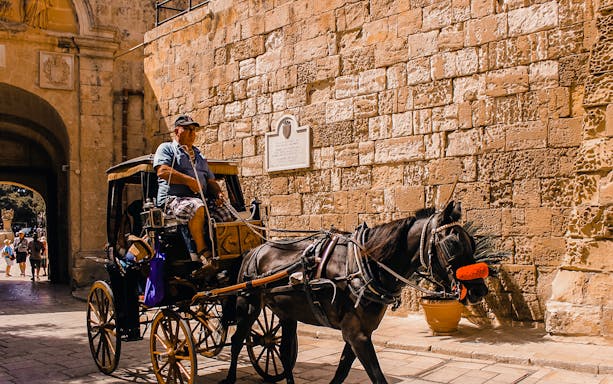 Horse-drawn carriage passing through Mdina gate, Malta, during guided tour.