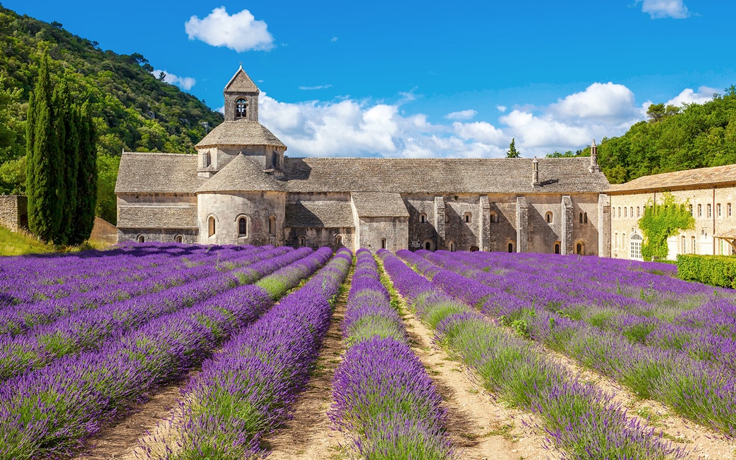 Abbey of Senanque with lavender fields in Avignon, France.