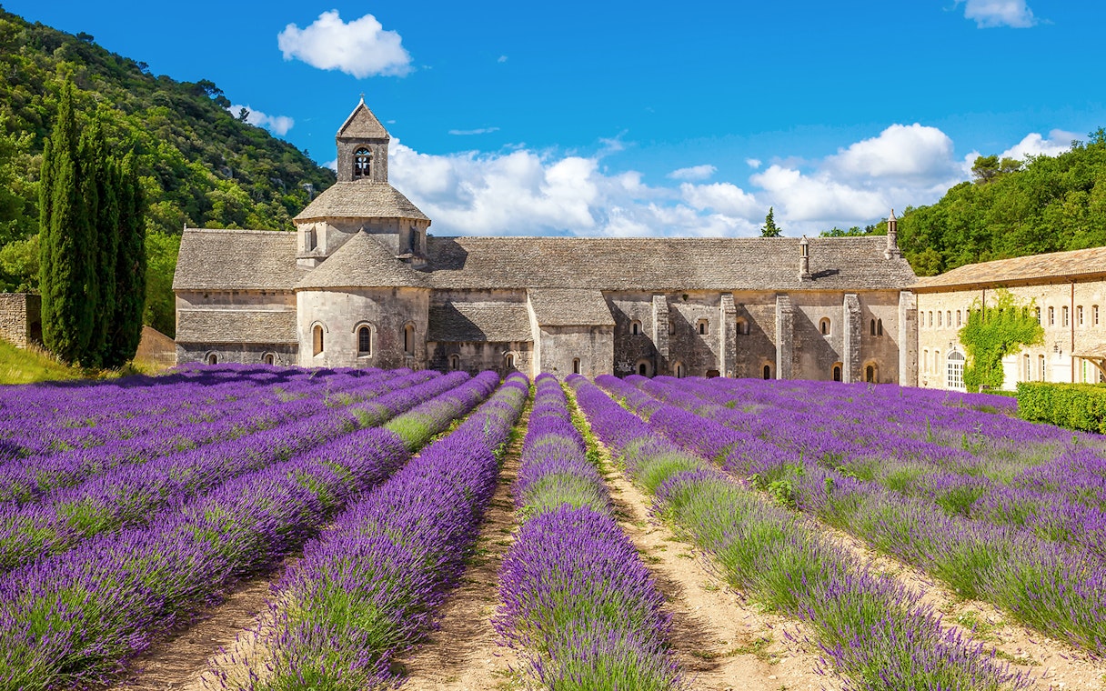 Abbey of Senanque with lavender fields in Avignon, France.