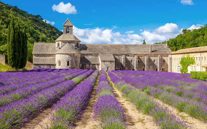 Abbey of Senanque with lavender fields in Avignon, France.