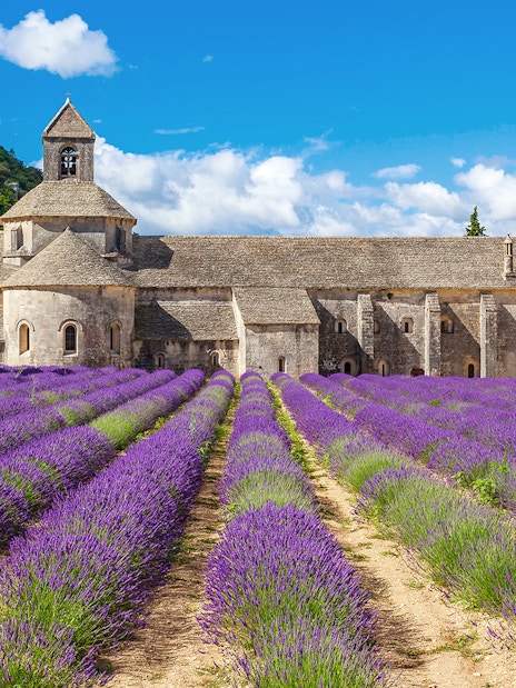 Abbey of Senanque with lavender fields in Avignon, France.