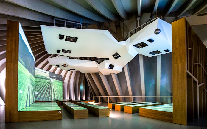 Cité du Vin museum interior with vineyard projections, Bordeaux, France.