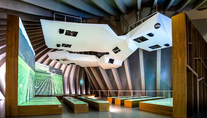 Cite Du Vin Exhibition Vineyards from the Skies