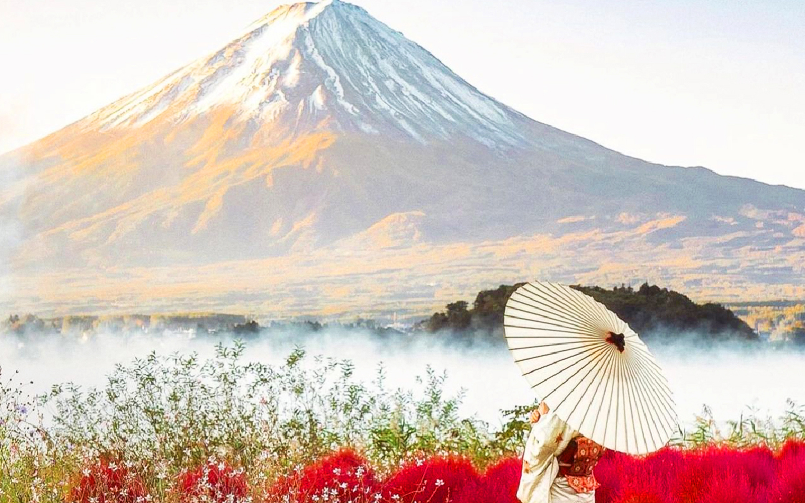 Woman in kimono with umbrella in front of Mount Fuji, Japan.