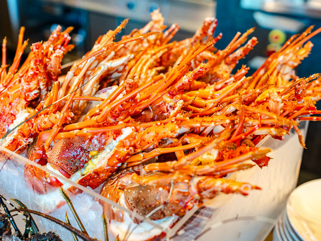 Lobsters on display at Hyatt Regency Nha Trang seafood BBQ buffet dinner.