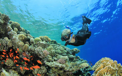Scuba diver exploring vibrant coral reefs in the Red Sea, Hurghada.