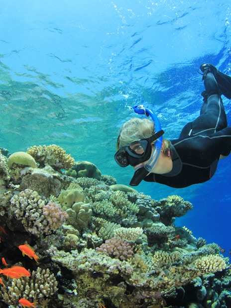 Scuba diver exploring vibrant coral reefs in the Red Sea, Hurghada.