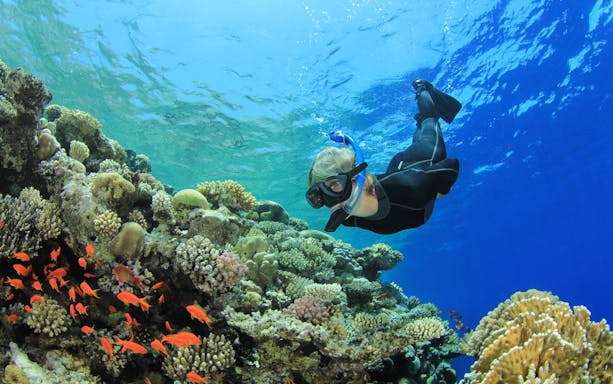 Scuba diver exploring vibrant coral reefs in the Red Sea, Hurghada.
