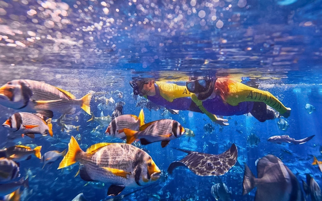 Couple snorkeling among colorful fish at Atlantis.