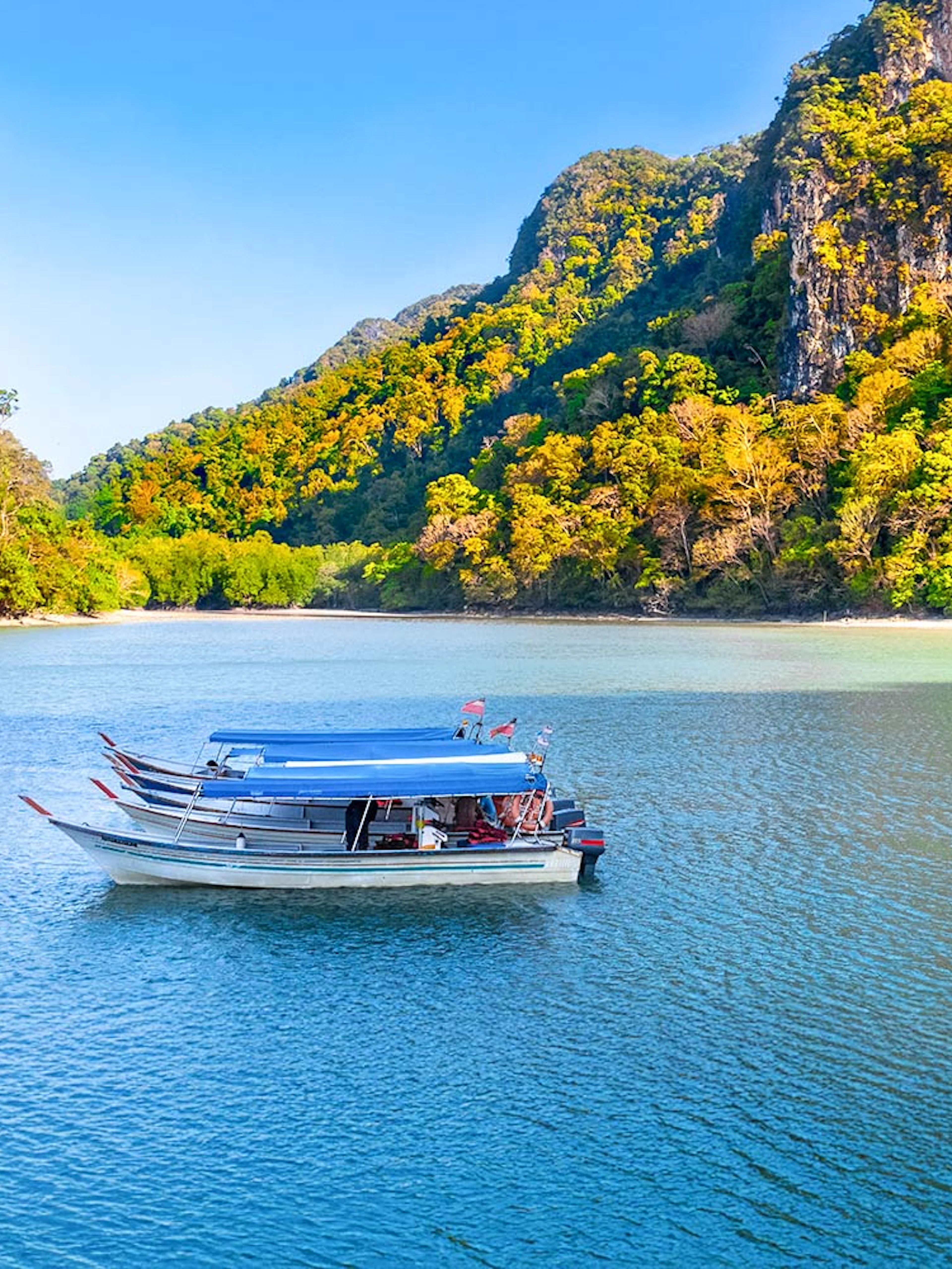 Boat on the water with lush hills in Kilim Geoforest Park, Langkawi, Malaysia.