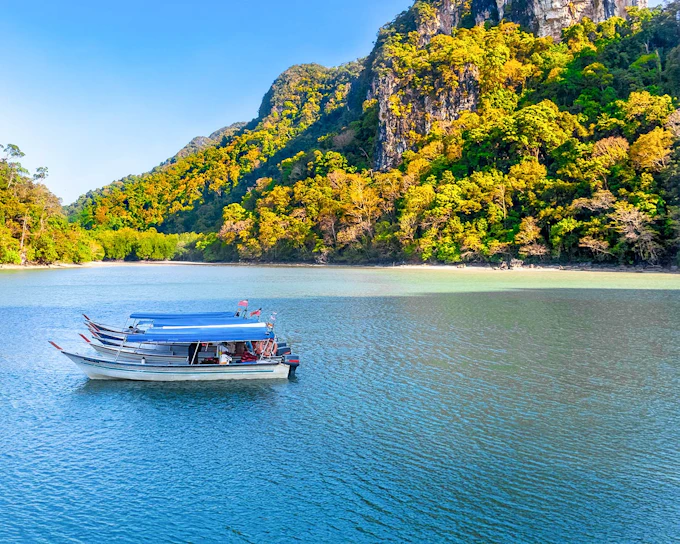Private Langkawi Mangrove Tour