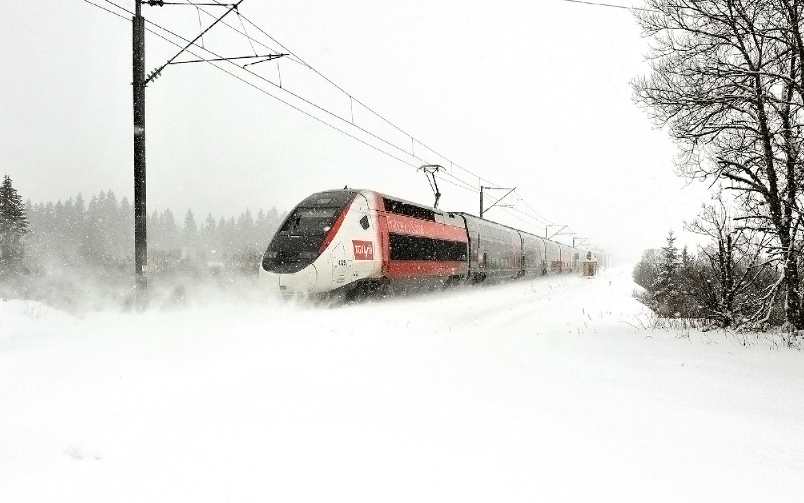 High-speed train traveling through snowy landscape, Eurail Global Continuous Pass.