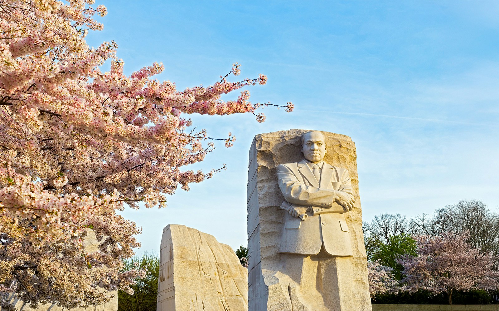 Martin Luther King Jr Memorial with cherry blossoms in bloom, Washington DC.